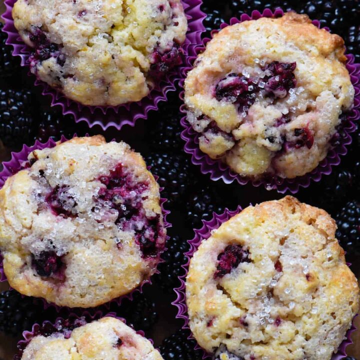 Five blackberry muffins in purple paper liners on a bed of blackberries.