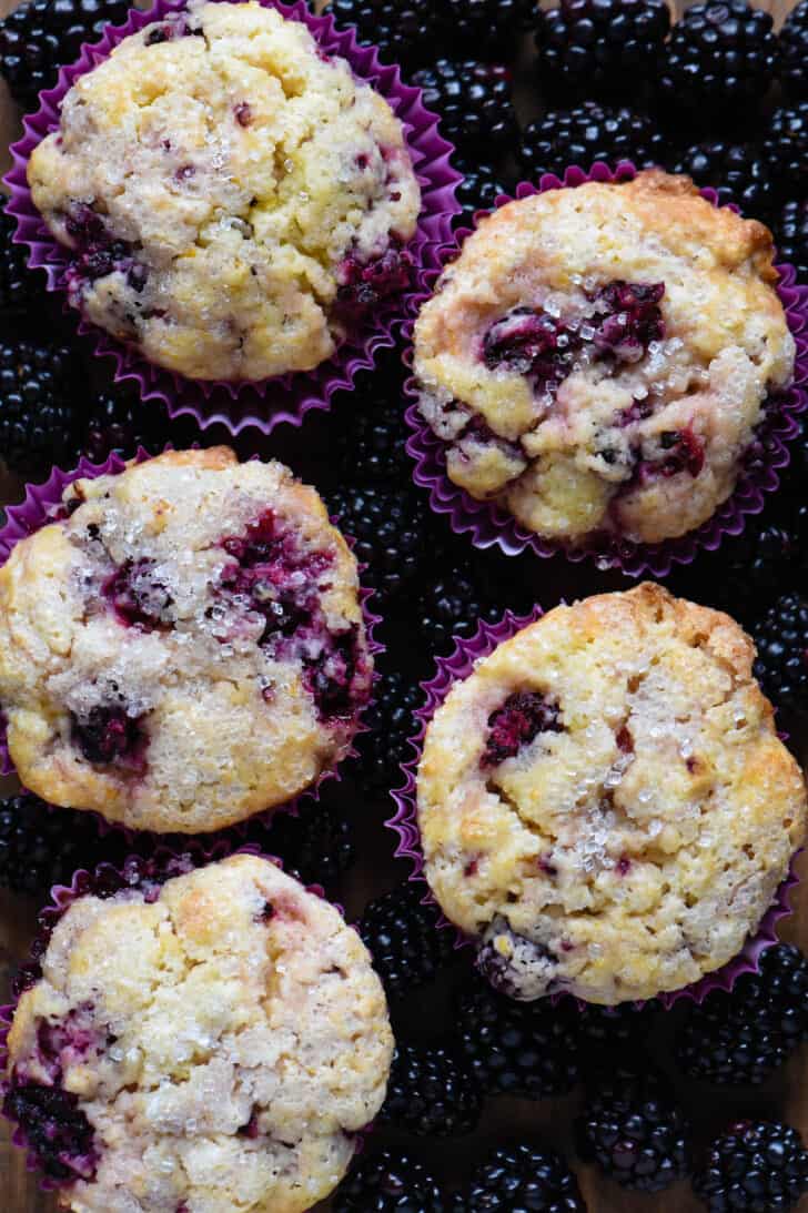 Five blackberry muffins in purple paper liners on a bed of blackberries.
