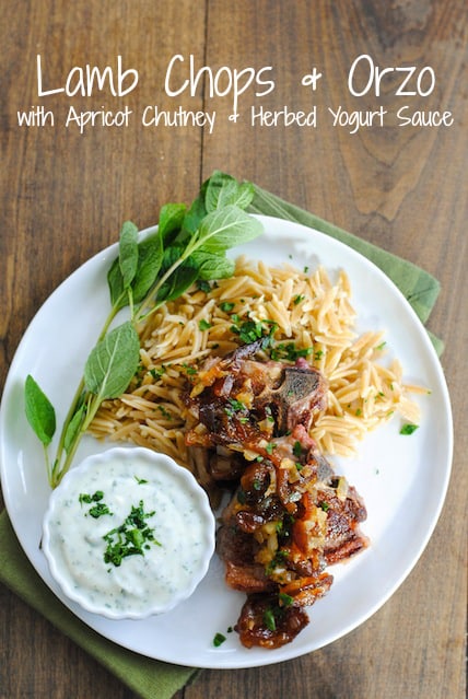 Lamb Chops & Orzo with Apricot Chutney & Herbed Yogurt Sauce - A simple yet special dish for a dinner party or just a nice dinner at home! | foxeslovelemons.com